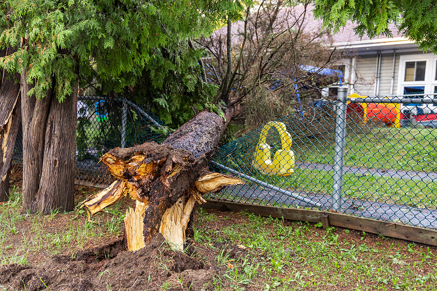 Property Hazards That Frequently Cause Serious Injuries